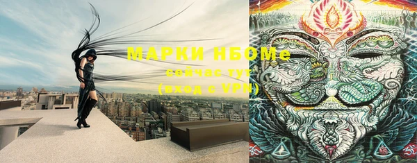 молекула духа Верхний Тагил