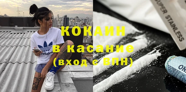 индика Богородск