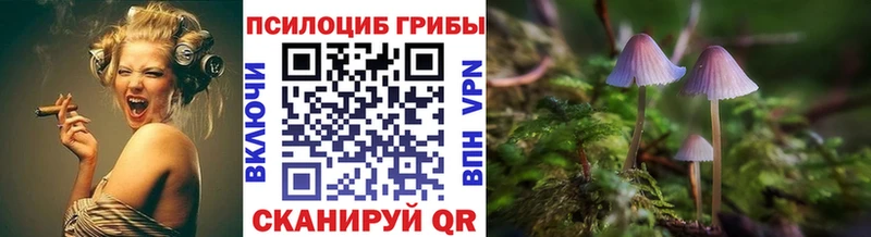 блэк спрут ONION  где можно купить наркотик  Разумное  Галлюциногенные грибы Magic Shrooms 